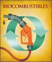 TeexGREEN Nueva divisiÃ³n para los Bio-Combustibles